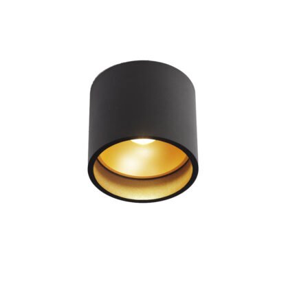 ORLEANS LED-Deckenlampe IP20