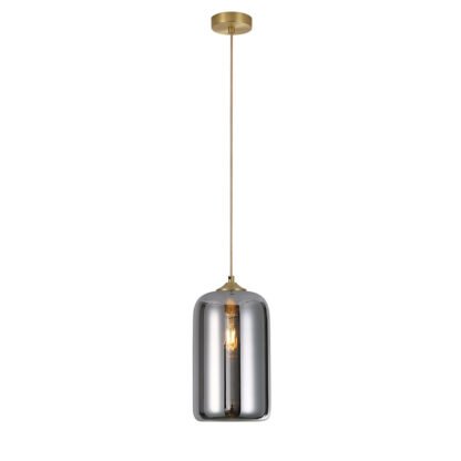 CAROLA Aufhängung E27 goldfarbig matt eingeschaltet mit Glas BOTANY Titan